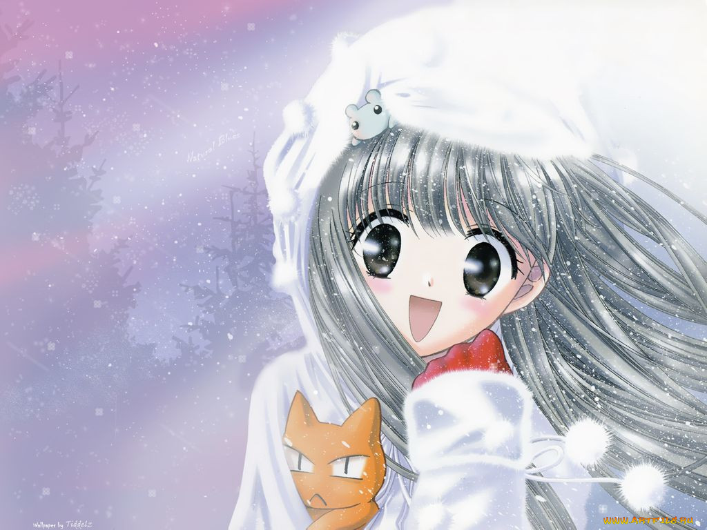, fruits, basket